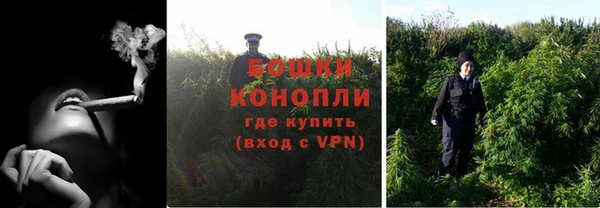 спайс Алексин
