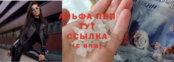 трава Аркадак