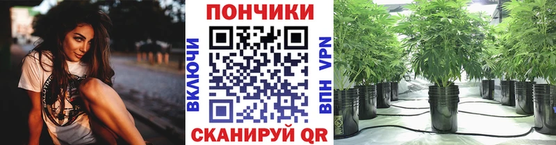 Канабис индика  MEGA онион  Грязовец 